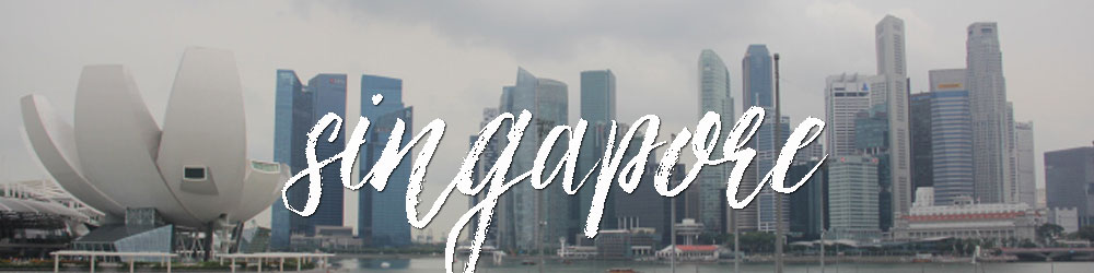 Travel Singapore | Walking Through Wonderland